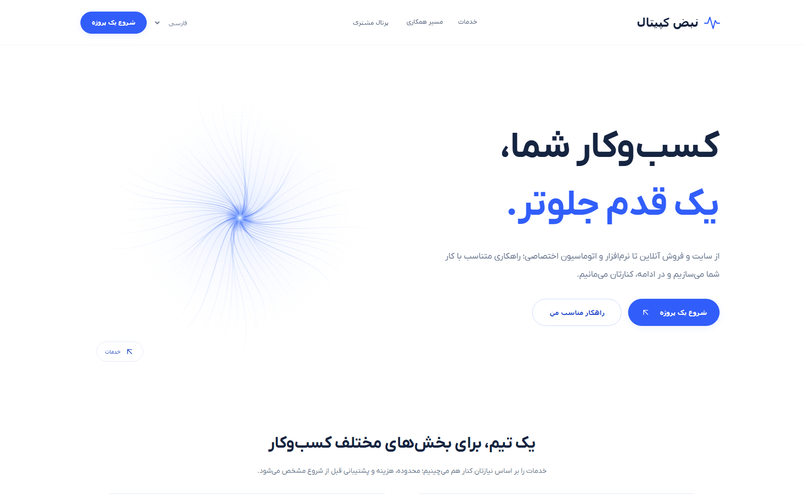 NABZ Capital interface